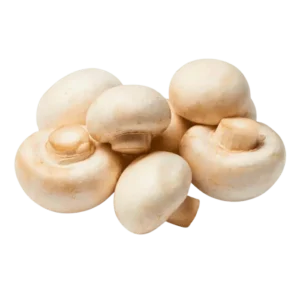 Fresh Button Mushrooms Imported