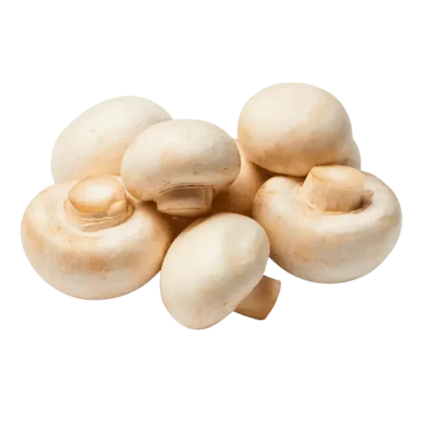 Fresh Button Mushrooms Imported