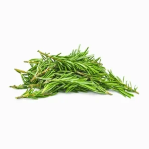 Fresh Rosemary Imported