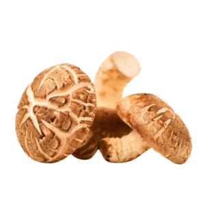 Shiitake Mushrooms Imported