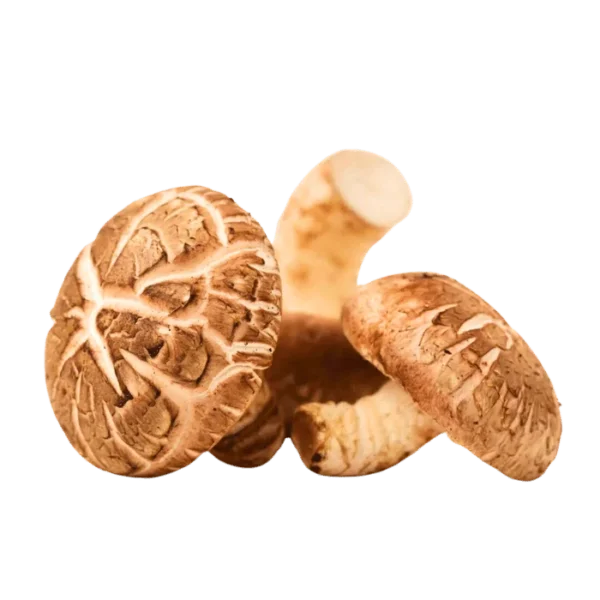 Shiitake Mushrooms Imported