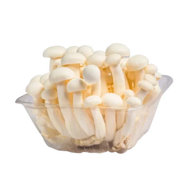 Shimeji Mushrooms Imported