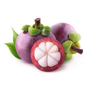 fresh mangosteen imported