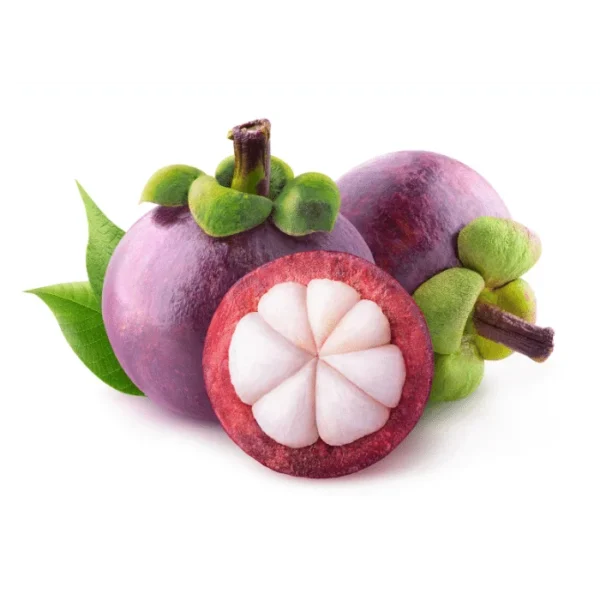 fresh mangosteen imported