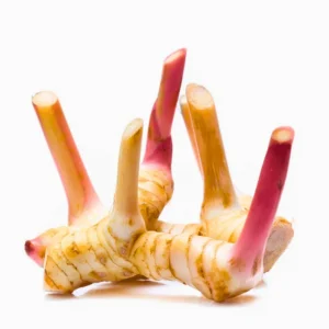 galangal