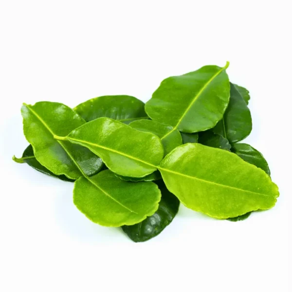 thai lime leaves imported